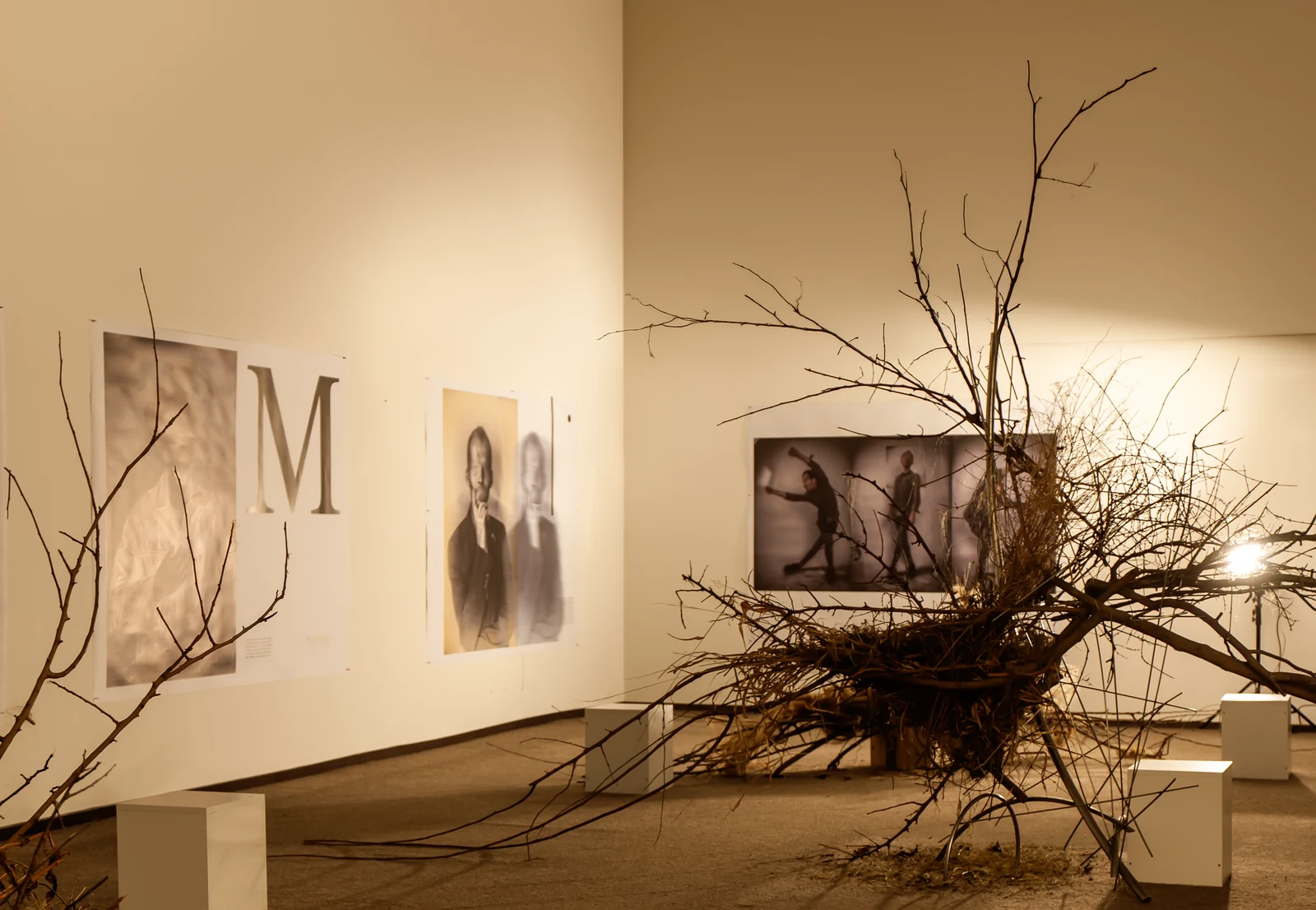 Natural forms extending the visual narrative from the walls into the room.