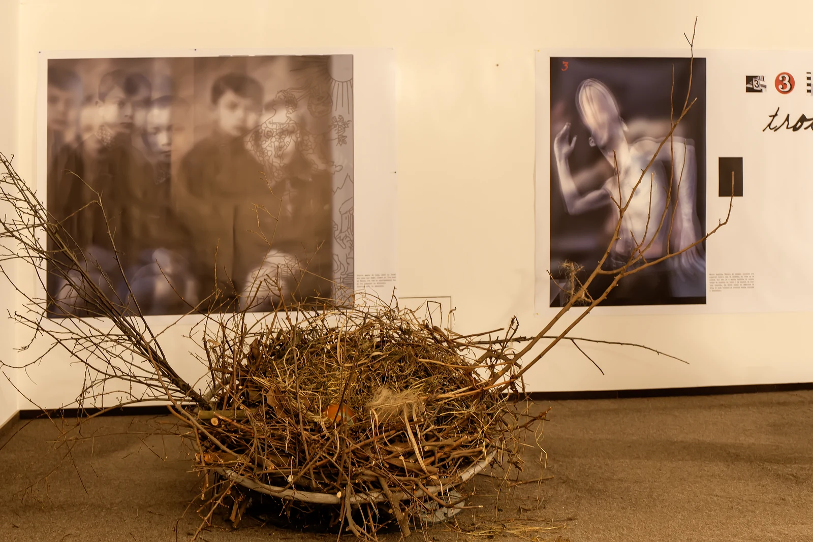 Large-scale photographic works changing with each viewpoint through the space.